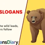 Bear Slogans