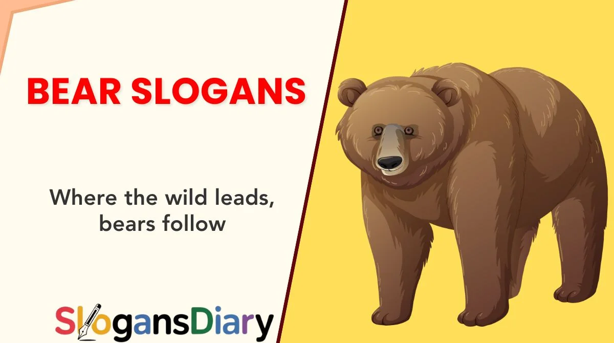 Bear Slogans