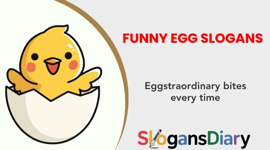 Funny Egg Slogans