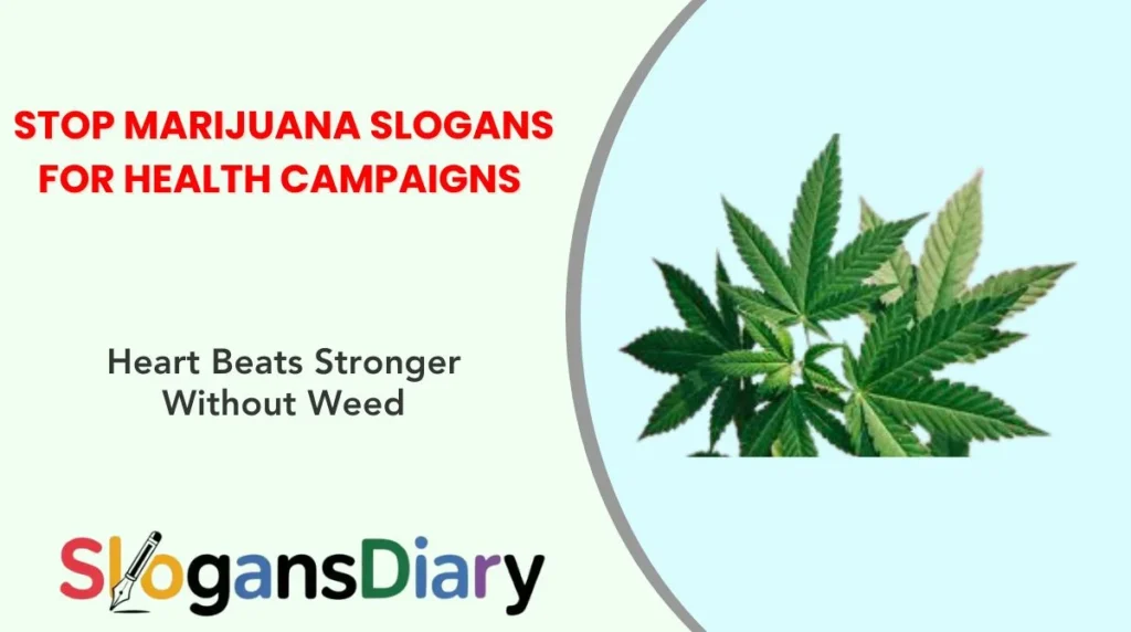 Stop Marijuana Slogans for Health Campaigns