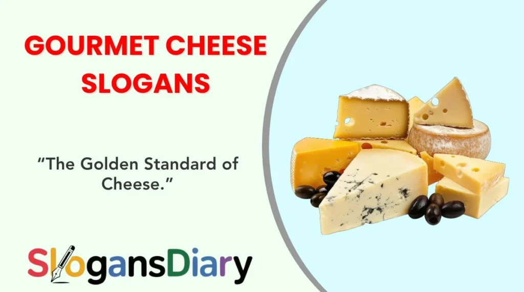 Unique & Trendy Cookie