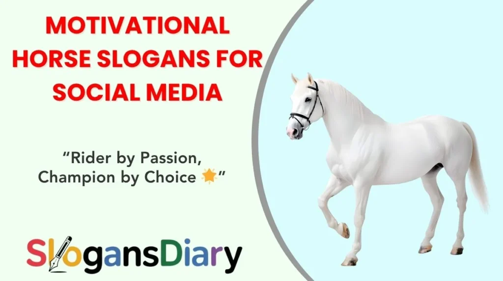Motivational Horse Slogans for Social Media